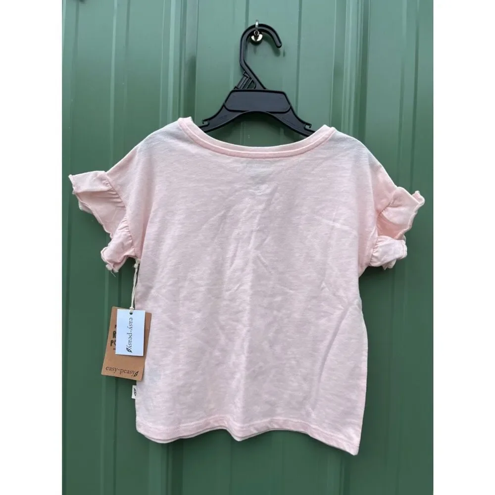 Toddler Girls T-Shirts & Pants Bundle Size 4T